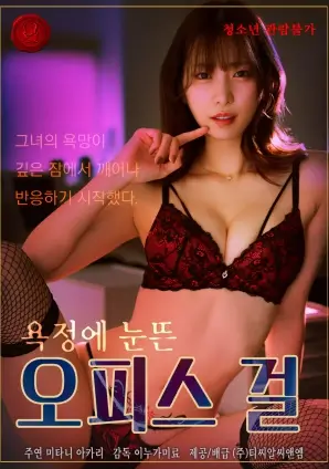 深巷有光 热播电视剧全集免费观看